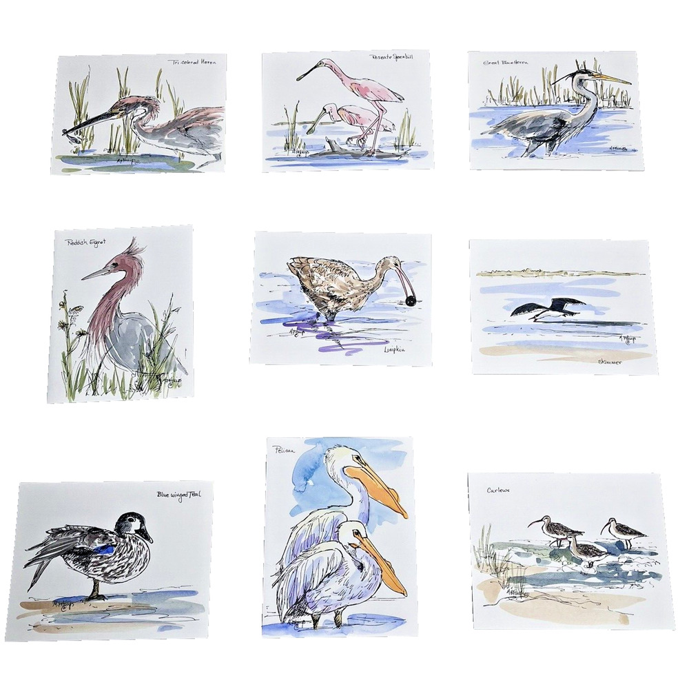 Hand painted Greeting Cards Shore Birds Cards Ink & Watercolor Signed 9 Blank